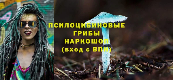 хмурый Балабаново