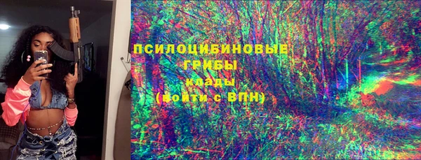гашик Балахна