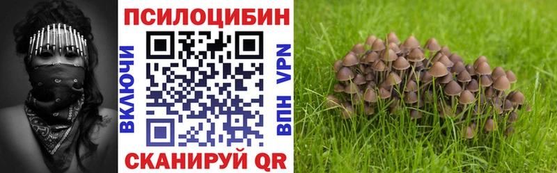 Купить где  Любим  Галлюциногенные грибы мухоморы 